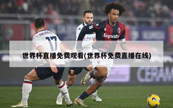 世界杯直播免费观看(世界杯免费直播在线)
