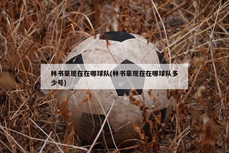 林书豪现在在哪球队(林书豪现在在哪球队多少号)