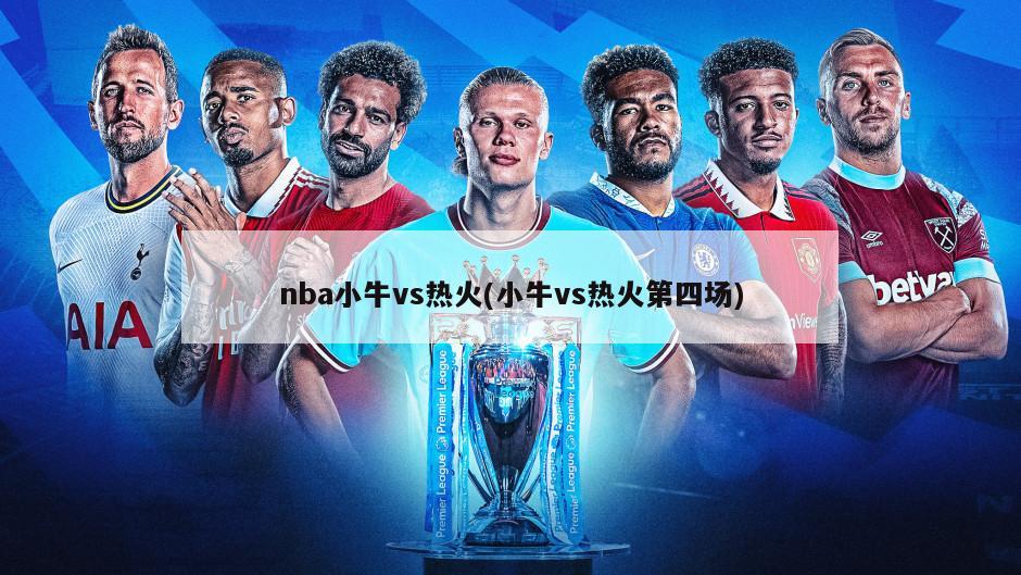 nba小牛vs热火(小牛vs热火第四场)