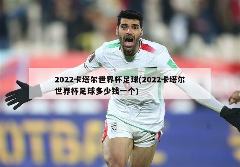 2022卡塔尔世界杯足球(2022卡塔尔世界杯足球多少钱一个)