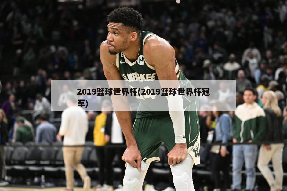 2019篮球世界杯(2019篮球世界杯冠军)
