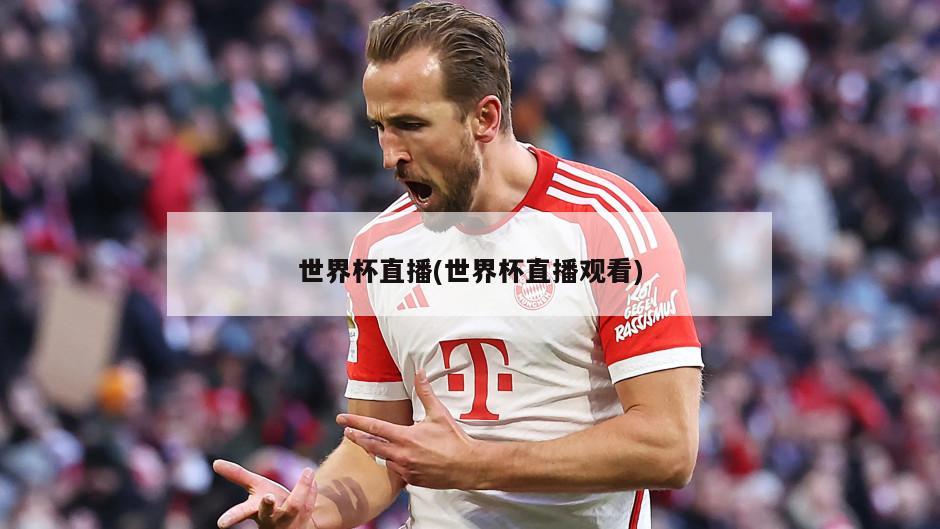 世界杯直播(世界杯直播观看)