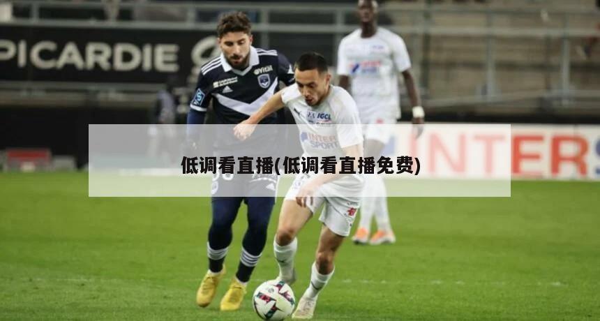 低调看直播(低调看直播免费)