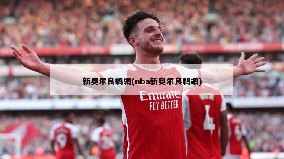 新奥尔良鹈鹕(nba新奥尔良鹈鹕)