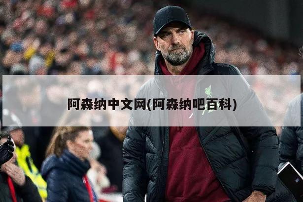 阿森纳中文网(阿森纳吧百科)