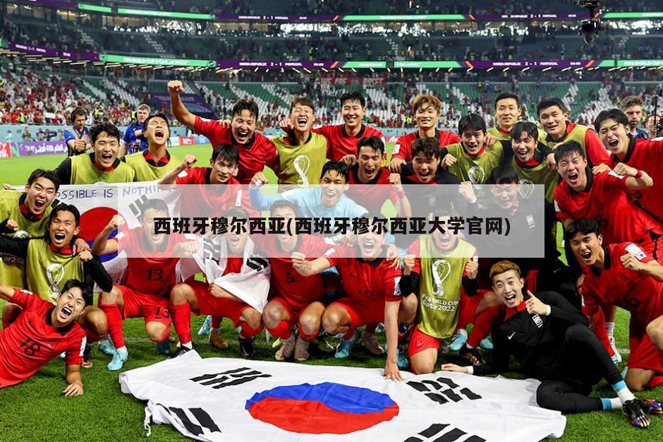 西班牙穆尔西亚(西班牙穆尔西亚大学官网)