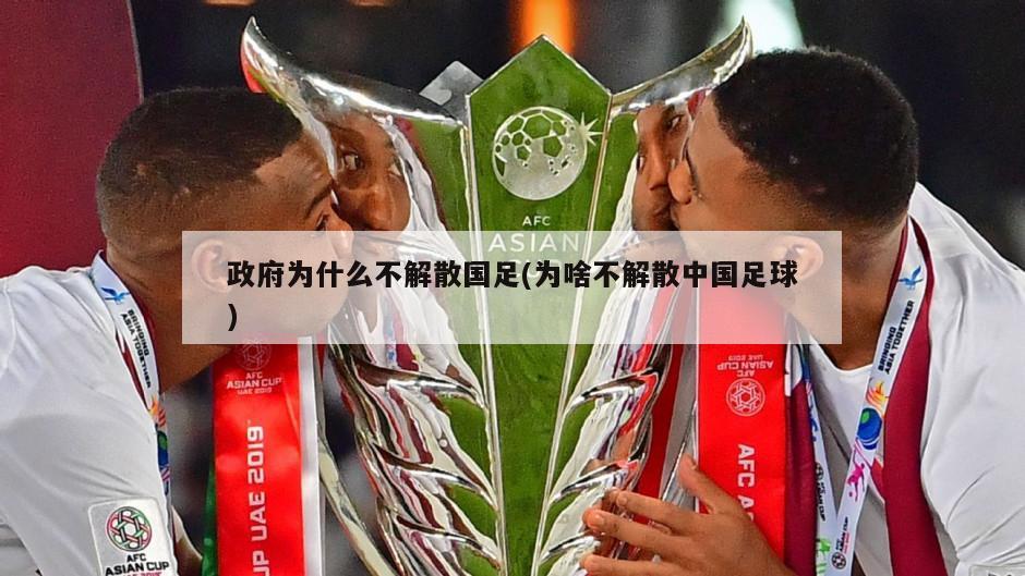 政府为什么不解散国足(为啥不解散中国足球)