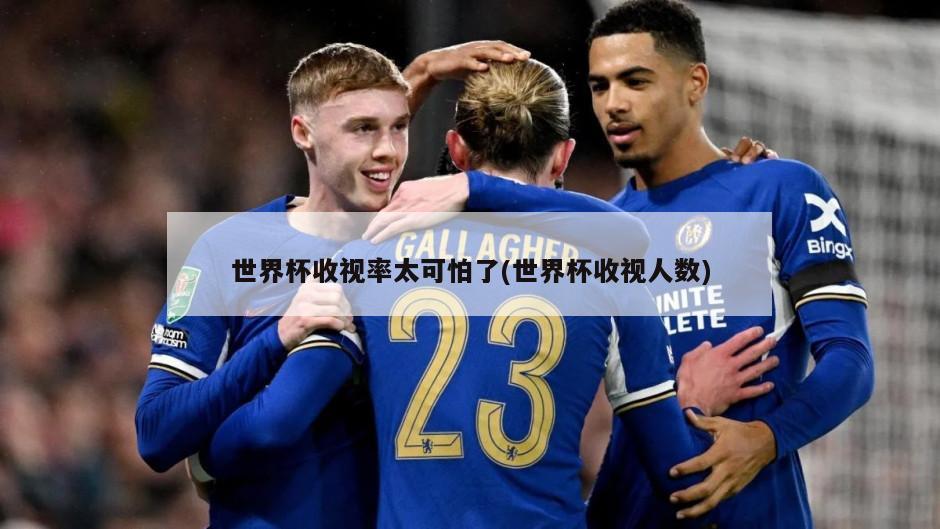 世界杯收视率太可怕了(世界杯收视人数)
