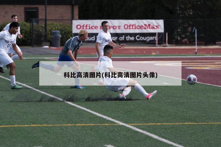 科比高清图片(科比高清图片头像)