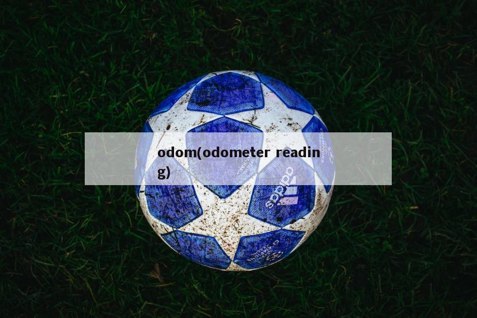 odom(odometer reading)
