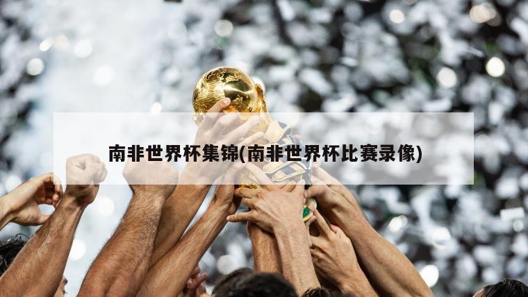 南非世界杯集锦(南非世界杯比赛录像)