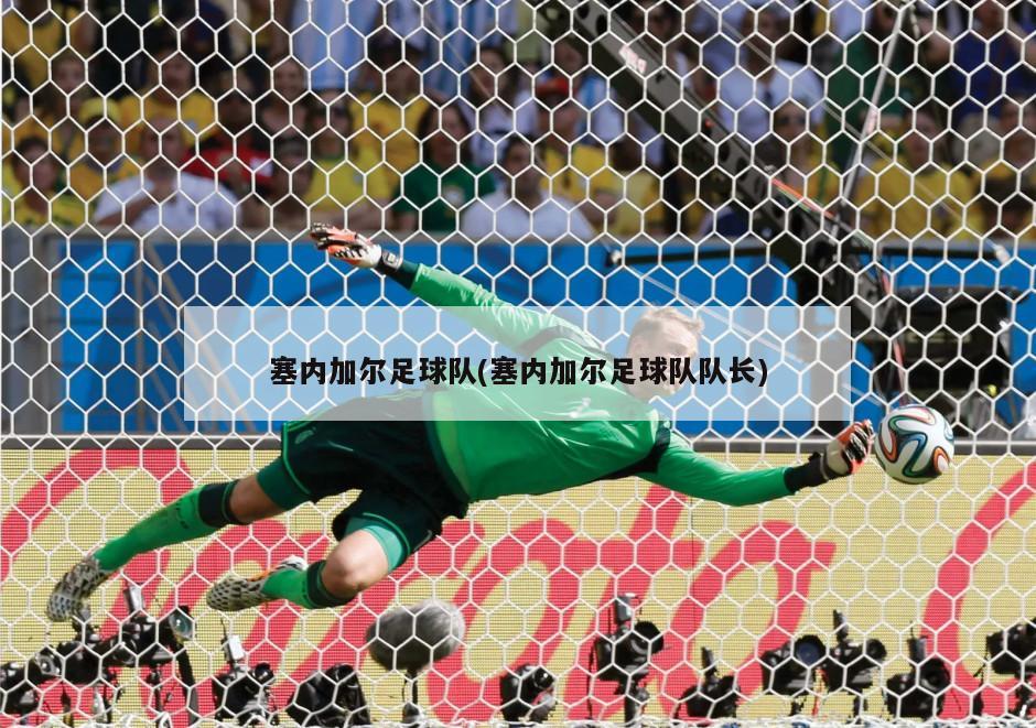 塞内加尔足球队(塞内加尔足球队队长)