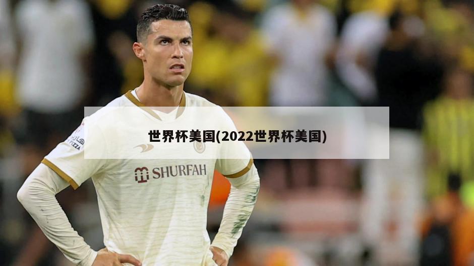 世界杯美国(2022世界杯美国)