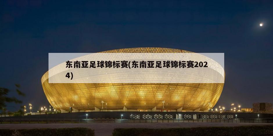 东南亚足球锦标赛(东南亚足球锦标赛2024)