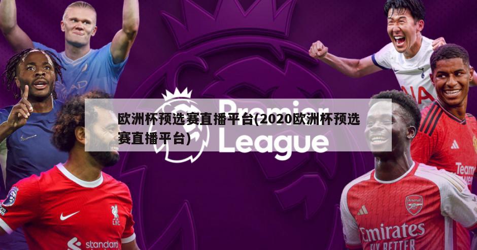 欧洲杯预选赛直播平台(2020欧洲杯预选赛直播平台)