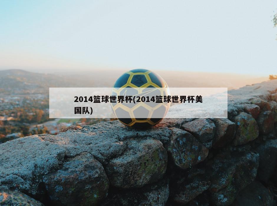 2014篮球世界杯(2014篮球世界杯美国队)