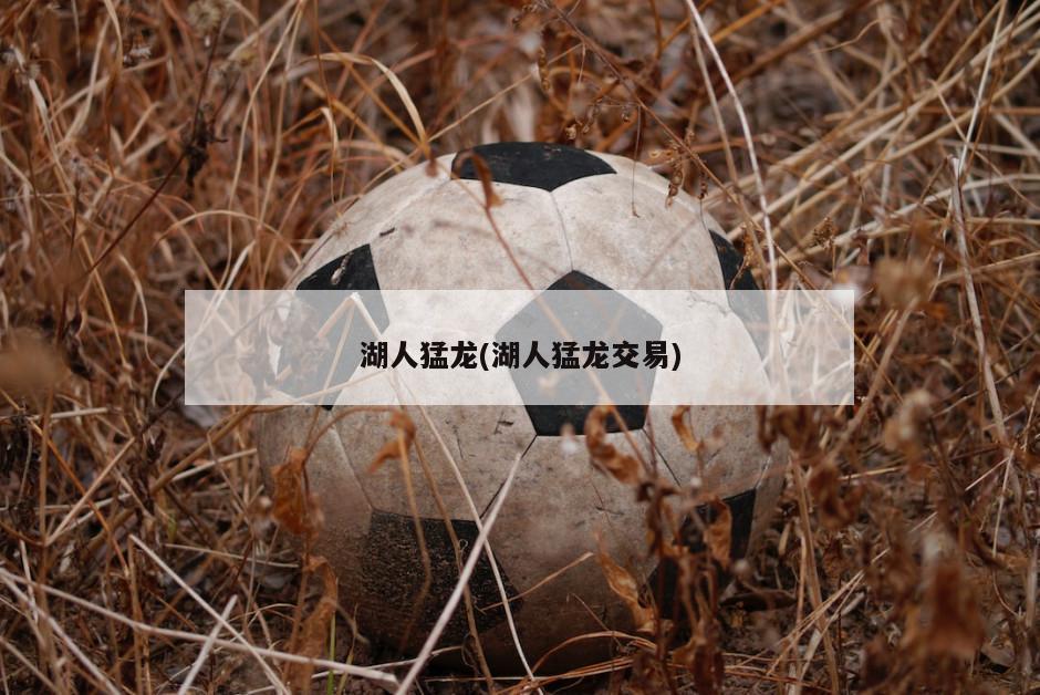 湖人猛龙(湖人猛龙交易)