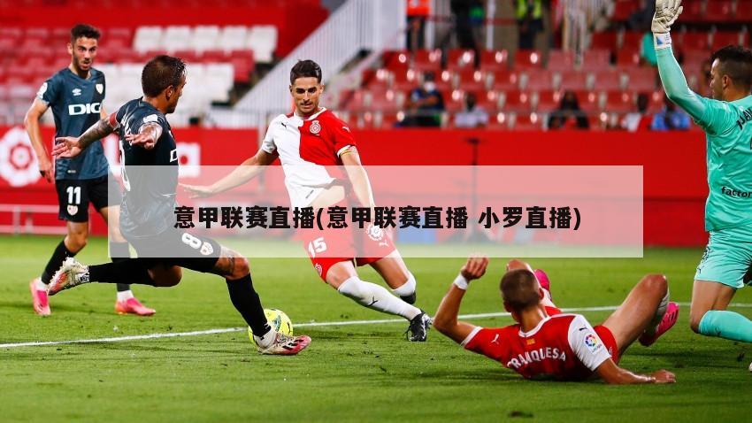 意甲联赛直播(意甲联赛直播 小罗直播)