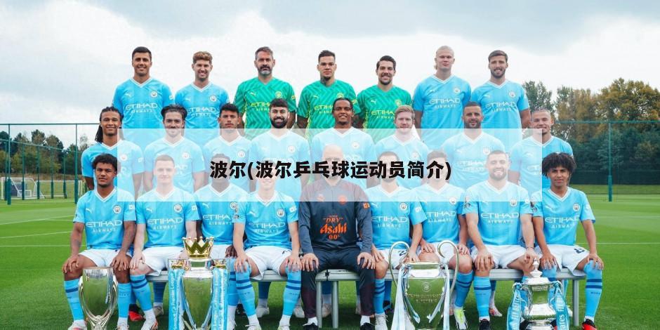 波尔(波尔乒乓球运动员简介)