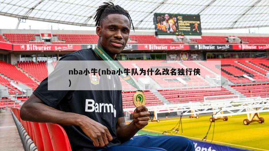 nba小牛(nba小牛队为什么改名独行侠)