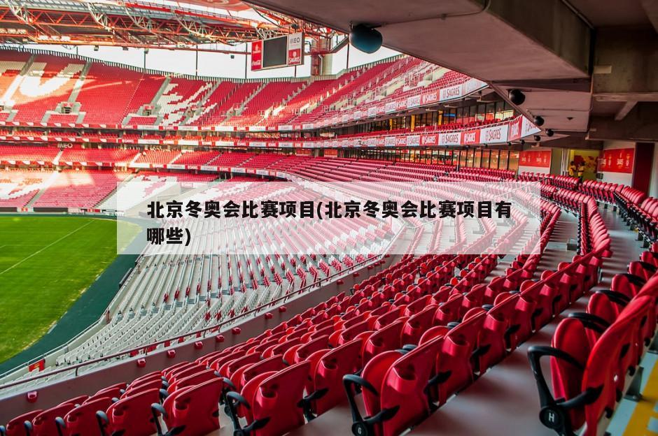 北京冬奥会比赛项目(北京冬奥会比赛项目有哪些)
