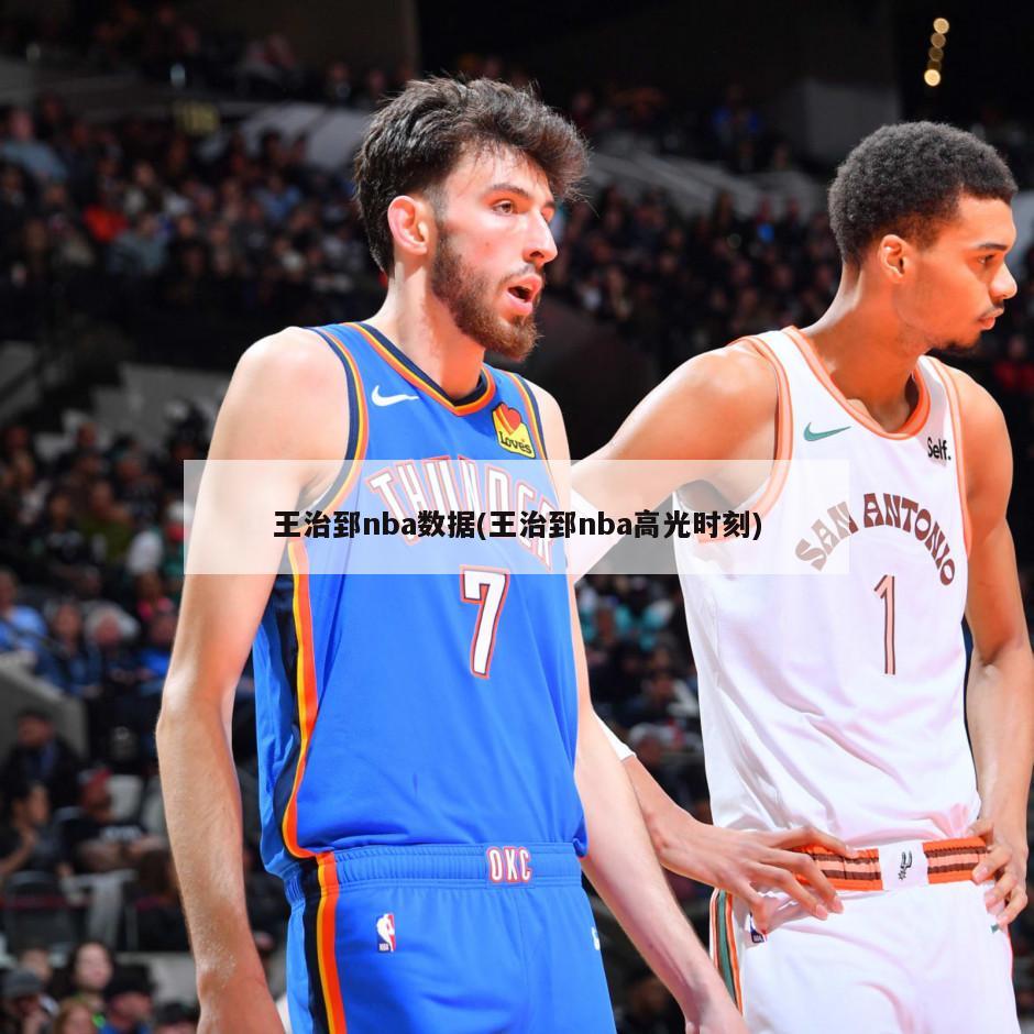 王治郅nba数据(王治郅nba高光时刻)