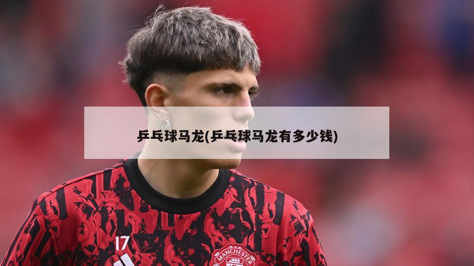 乒乓球马龙(乒乓球马龙有多少钱)