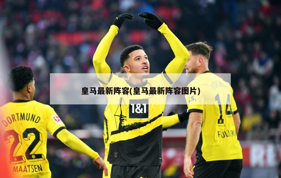 皇马最新阵容(皇马最新阵容图片)
