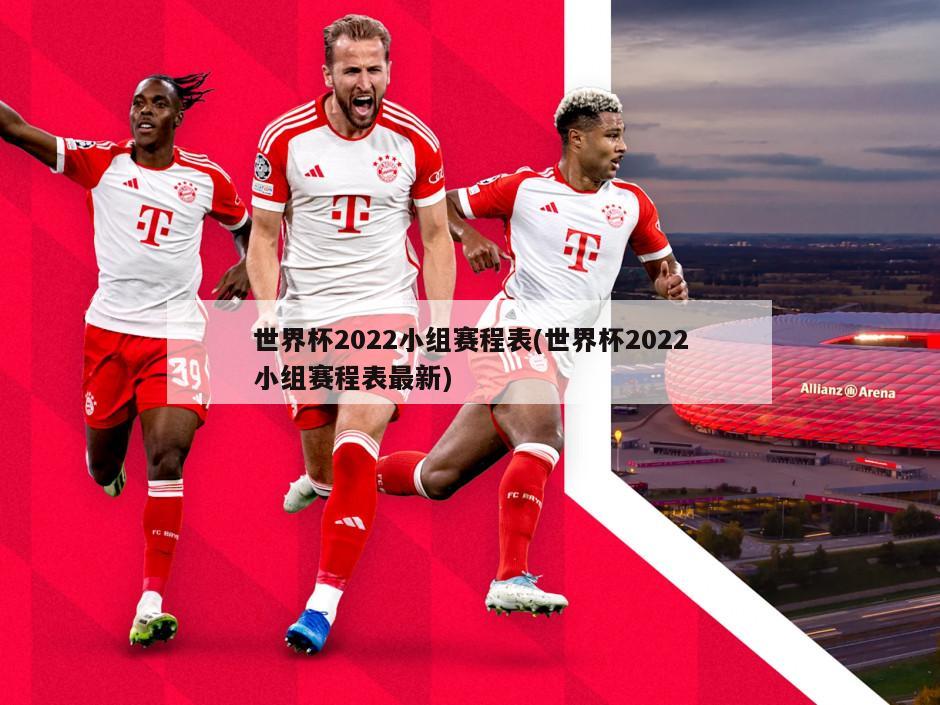 世界杯2022小组赛程表(世界杯2022小组赛程表最新)