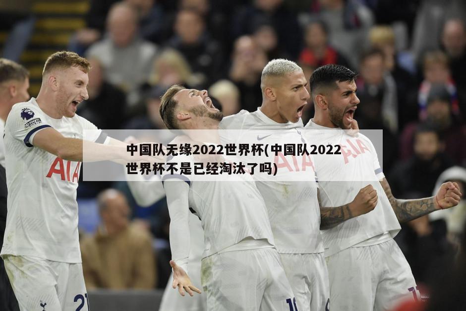 中国队无缘2022世界杯(中国队2022世界杯不是已经淘汰了吗)
