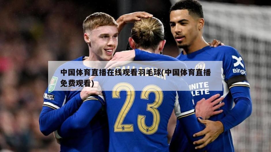 中国体育直播在线观看羽毛球(中国体育直播免费观看)