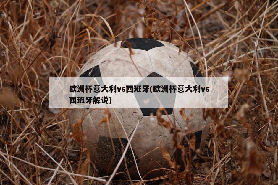 欧洲杯意大利vs西班牙(欧洲杯意大利vs西班牙解说)
