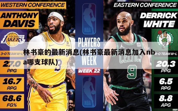林书豪的最新消息(林书豪最新消息加入nba哪支球队)
