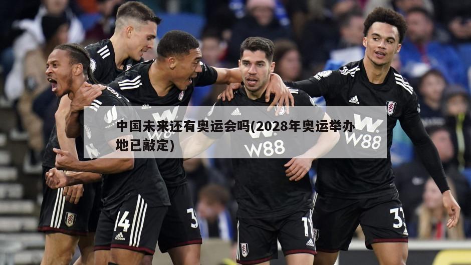 中国未来还有奥运会吗(2028年奥运举办地已敲定)